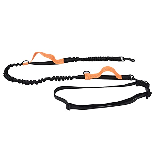 Reflektierende Einziehbare Haustier-Leine mit Händebund für Bequemes Hundeging (ORANGE) von Yctze