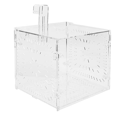Transparente Aquarium-Isolierbox mit Trennwand – Aquarium-Isolierungswerkzeug für die Befruchtung Kranker Fische und Jungfische (15CM * 15CM * 15CM) von Yctze
