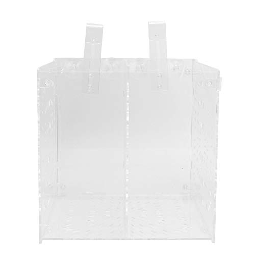 Transparente Aquarium-Isolierbox mit Trennwand – Aquarium-Isolierungswerkzeug für die Befruchtung Kranker Fische und Jungfische (20MC * 20CM * 20CM) von Yctze