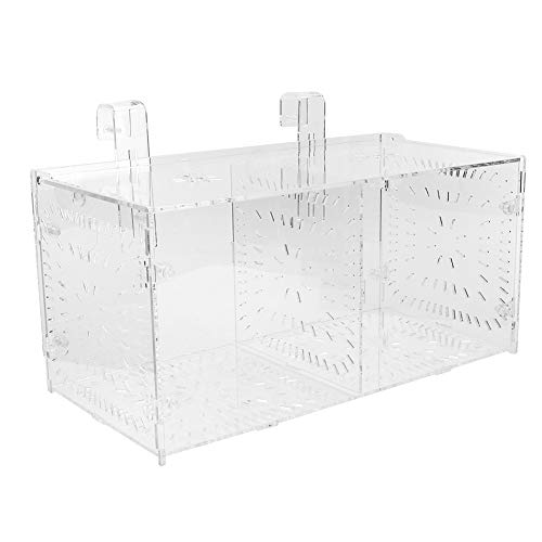 Transparente Aquarium-Isolierbox mit Trennwand – Aquarium-Isolierungswerkzeug für die Befruchtung Kranker Fische und Jungfische (30CM * 15CM * 15CM) von Yctze