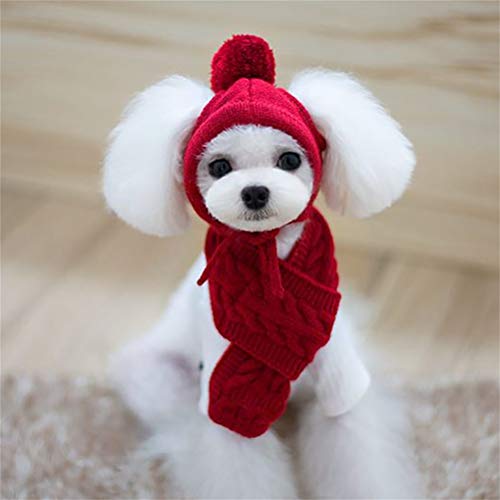 Warmes Strickmützen- und Schalset für Haustiere – Lustige Hundemützen und Accessoires für Haustiere – Zum Weihnachtsspiel – Gemütliche Winterbekleidung für Welpen und Hunde (Grey von Yctze