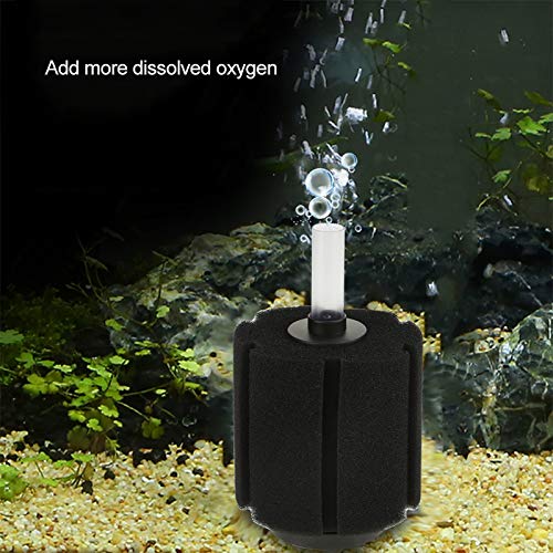 Yctze 4PCS-Riumschwamm für Betta-Fische und Leichtes Filtrationssystem Yctze 4PCS-Riumschwamm für Betta-Fische und Leichtes Filtrationssystem von Yctze
