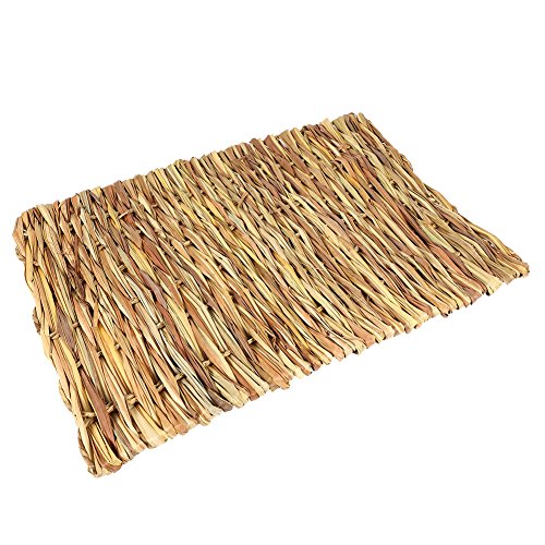 Yctze Handgewebte G -Matte für SM -Haustiere - Hamster, Bit, Guinea Pad (L) von Yctze