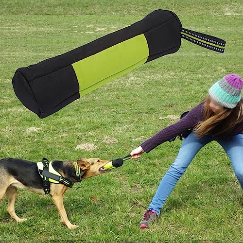 Yctze Tragbare Leckerlitasche für das Hundetraining – Hüfttasche aus Ochsenstoff für Spaziergänge, Snacks und Belohnungen – Erhältlich in O und Grün (Yctzemkzx1go9sd-17) von Yctze