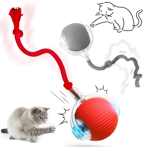 Interaktives Katzenspielzeug Elektrisch - 360° Rolling Smart Ball für Katzen und Hunde, USB Aufladbar Mit Schnur Interaktives Katzenspielzeug Elektrisch - 360° Rolling Smart Ball für Katzen und Hunde, USB Aufladbar Mit Schnur von YeahBoom