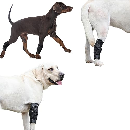 Hund Gelenkstütze Hock Wickelhülse mit Metallfedereinsätzen zur Stabilisierung, Hund Vorderbeine Brace Knees Schutz Gelenksbandage Zurück Hund Vorderbein Surgical Verletzung Bandage Wrap (L/XL) von Yealay