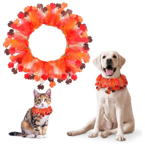 Yearntown Dekoratives Hundehalsband mit Aufschrift "Thanksgiving Truthahn", elastisches Haustierhalsband, für Thanksgiving, Urlaub, Party, Zubehör, Kostüm für mittelgroße und große Hunde von Yearntown
