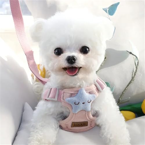 Hundegeschirr, niedliches Geschirr und Leine, Set aus Weste und Leine, kariert, weiches Blumenmuster, Hundegeschirr mit verstellbarer Reiseleine für Welpen, kleine, mittelgroße Hunde, Größe M, rosa Hundegeschirr, niedliches Geschirr und Leine, Set aus Weste und Leine, kariert, weiches Blumenmuster, Hundegeschirr mit verstellbarer Reiseleine für Welpen, kleine, mittelgroße Hunde, Größe M, rosa von Yeduzyn