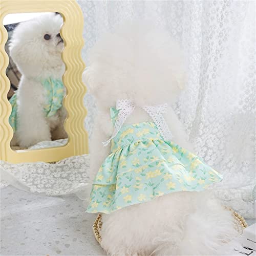 Yeduzyn Hunde-Prinzessinnenkleid mit Schleife, Haustierkleidung, niedliche Hundeweste, schönes Blumen-Hundekleid, atmungsaktiv, Haustier-T-Shirt, Shirt für Haustiere (grüne Blumen, XS(1-3 kg)) von Yeduzyn