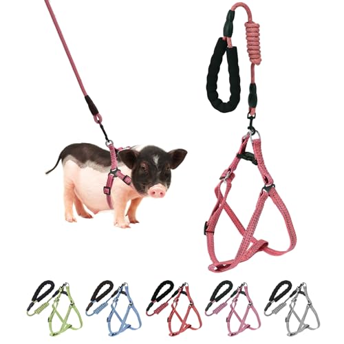 Mini Pig Hundegeschirr, verstellbares Geschirr für kleine Schweine, mit Leine, Unendlichkeitssymbol und weichem Schaumstoffgriff für kleine bis mittelgroße Haustiere, Schweine, Spazierengehen, Mini Pig Hundegeschirr, verstellbares Geschirr für kleine Schweine, mit Leine, Unendlichkeitssymbol und weichem Schaumstoffgriff für kleine bis mittelgroße Haustiere, Schweine, Spazierengehen, von YeeBeny