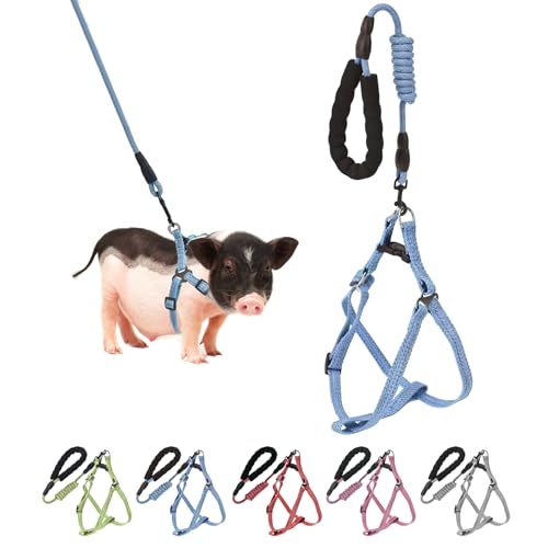 Mini Pig Hundegeschirr, verstellbares Geschirr für kleine Schweine, mit Leine, Unendlichkeitssymbol und weichem Schaumstoffgriff für kleine bis mittelgroße Haustiere, Schweine, Spazierengehen, Mini Pig Hundegeschirr, verstellbares Geschirr für kleine Schweine, mit Leine, Unendlichkeitssymbol und weichem Schaumstoffgriff für kleine bis mittelgroße Haustiere, Schweine, Spazierengehen, von YeeBeny