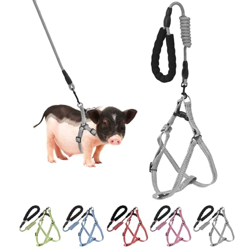 Mini Pig Hundegeschirr, verstellbares Geschirr für kleine Schweine, mit Leine, Unendlichkeitssymbol und weichem Schaumstoffgriff für kleine bis mittelgroße Haustiere, Schweine, Spazierengehen, Mini Pig Hundegeschirr, verstellbares Geschirr für kleine Schweine, mit Leine, Unendlichkeitssymbol und weichem Schaumstoffgriff für kleine bis mittelgroße Haustiere, Schweine, Spazierengehen, von YeeBeny