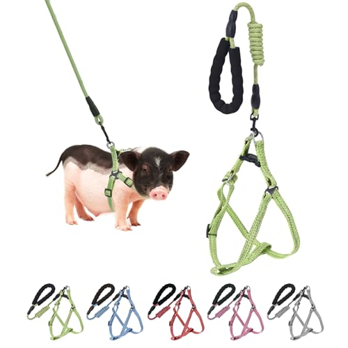 Mini Pig Hundegeschirr, verstellbares Geschirr für kleine Schweine, mit Leine, Unendlichkeitssymbol und weichem Schaumstoffgriff für kleine bis mittelgroße Haustiere, Schweine, Spazierengehen, Mini Pig Hundegeschirr, verstellbares Geschirr für kleine Schweine, mit Leine, Unendlichkeitssymbol und weichem Schaumstoffgriff für kleine bis mittelgroße Haustiere, Schweine, Spazierengehen, von YeeBeny