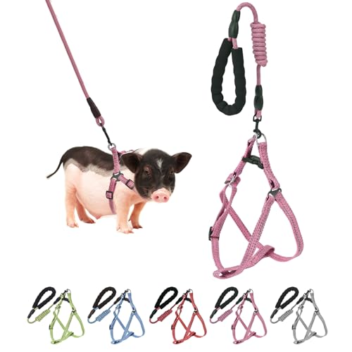 Mini Pig Hundegeschirr, verstellbares Geschirr für kleine Schweine, mit Leine, Unendlichkeitssymbol und weichem Schaumstoffgriff für kleine bis mittelgroße Haustiere, Schweine, Spazierengehen, Mini Pig Hundegeschirr, verstellbares Geschirr für kleine Schweine, mit Leine, Unendlichkeitssymbol und weichem Schaumstoffgriff für kleine bis mittelgroße Haustiere, Schweine, Spazierengehen, von YeeBeny