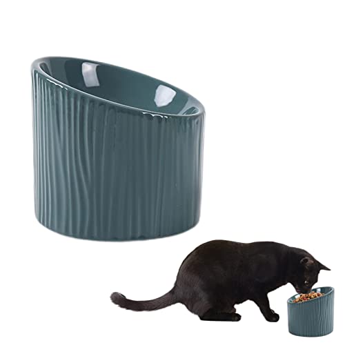 Yeeda Erhöhte Katzennäpfe aus Keramik – geneigter Katzenfutter, für kleine Hunde, um 45 Grad geneigt, erhöhte Futternapf aus massivem Keramik, Wasserständer für Katzen und Welpen von Yeeda