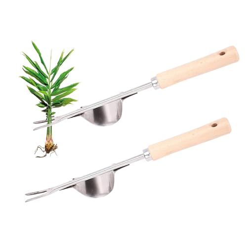 Yeehliny Unkrautstecher Weeder Edelstahl Wurzeljäter mit Holzgriff, Manueller Unkrautjäter Unkraut Entferner Gerät Löwenzahnstecher Hand Unkrautstecher für Garten Jäten, Umpflanzen, Entwurzeln (2PCS) Yeehliny Unkrautstecher Weeder Edelstahl Wurzeljäter mit Holzgriff, Manueller Unkrautjäter Unkraut Entferner Gerät Löwenzahnstecher Hand Unkrautstecher für Garten Jäten, Umpflanzen, Entwurzeln (2PCS) von Yeehliny