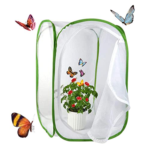 Yeelan Schmetterling Lebensraum zusammenklappbare Bug Catcher Net Mesh Insekten Pflanze Käfig Terrarium Pop-up für Kinder/Nett/Kleinkind fangen Grillen/Leuchtkäfer etc (40 * 40 * 60cm) von Yeelan