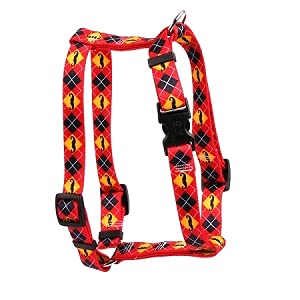 Yellow Dog Design Mustaches with Argyle Roman H Dog Harness, X-Small-3/8 Wide fits Chest of 8 to 14" von Yellow Dog Design