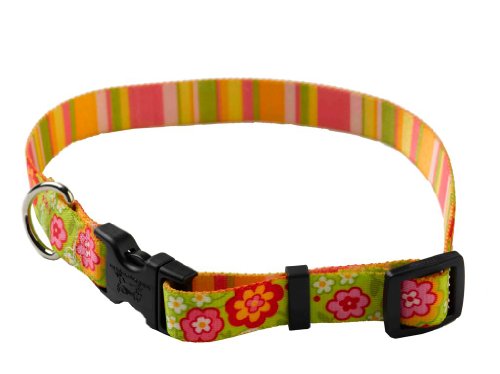 YellowDog Design Boutique-Halsband mit Streifen, verstellbar, Größe M, 1,9 cm, Grün von Yellow Dog Design