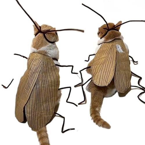 2 Sets Katzen Halloween Kostüme Material Kit, DIY Funny Dog Cockroach Kostüm Kit, Katzen -Outfit für Halloween -Party -Cosplay -Dekor, Outfit 2 Sets Katzen Halloween Kostüme Material Kit, DIY Funny Dog Cockroach Kostüm Kit, Katzen -Outfit für Halloween -Party -Cosplay -Dekor, Outfit von Yeory