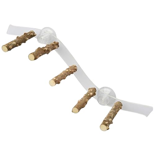 Birdduschbarch, Holzfenster Barschspielzeug mit Saugnapfbecher, Klettern Ramp Leiter Vogelstand Käfigzubehör Parrot Playstand für Cockatiel Lovebird Budgie, Stand Stehen Birdduschbarch, Holzfenster Barschspielzeug mit Saugnapfbecher, Klettern Ramp Leiter Vogelstand Käfigzubehör Parrot Playstand für Cockatiel Lovebird Budgie, Stand Stehen von Yeory