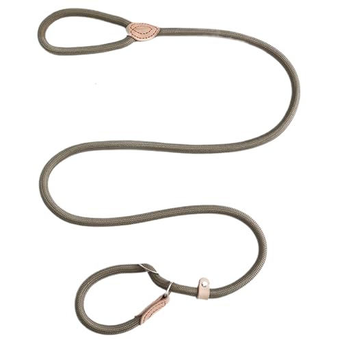 Hundeleine für Hunde ohne Zug, 5 Fuß schwere Nylon -Lange Hundeleine, Starke und Haltbarkeit Praktischer multifunktionaler Schlupf führt für Hunde kleine mittlere Tiere, Schlupfleitungen für Hunde Hundeleine für Hunde ohne Zug, 5 Fuß schwere Nylon -Lange Hundeleine, Starke und Haltbarkeit Praktischer multifunktionaler Schlupf führt für Hunde kleine mittlere Tiere, Schlupfleitungen für Hunde von Yeory