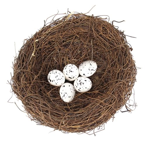 Yeory Vogelnest, 5, 9 Zoll Rattan künstliche Vögel Nest Dekor mit 5 Schaumeier für Handwerksheim -Party -Dekor, Vögel Yeory Vogelnest, 5, 9 Zoll Rattan künstliche Vögel Nest Dekor mit 5 Schaumeier für Handwerksheim -Party -Dekor, Vögel von Yeory