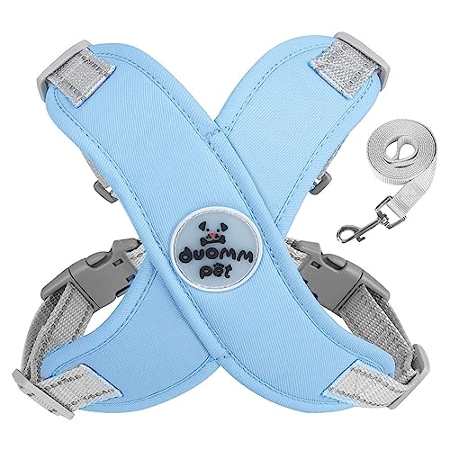 Hundezieher, mit olidem Etal-D-Ring für Einkaufszentrum, Edium, reflektierend, inkl Hundezieher, mit olidem Etal-D-Ring für Einkaufszentrum, Edium, reflektierend, inkl von Yeselino