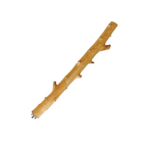 Papageien-Schleifkratzer, Sitzstange, Vogelständer, Naturholz, Stab, Schleifzweig, Pfote, Klettern, stehend, Naturholz, Vogelstange Papageien-Schleifkratzer, Sitzstange, Vogelständer, Naturholz, Stab, Schleifzweig, Pfote, Klettern, stehend, Naturholz, Vogelstange von Yeselino