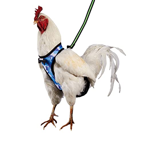 Yesito Hühnergeschirr, Henne Größe mit 1.8 m passender Leine, bequem, atmungsaktiv und waschbar, erleichtert das Training und Spazierengehen von Hühnern (Camouflage Blau, Größe M) von Yesito