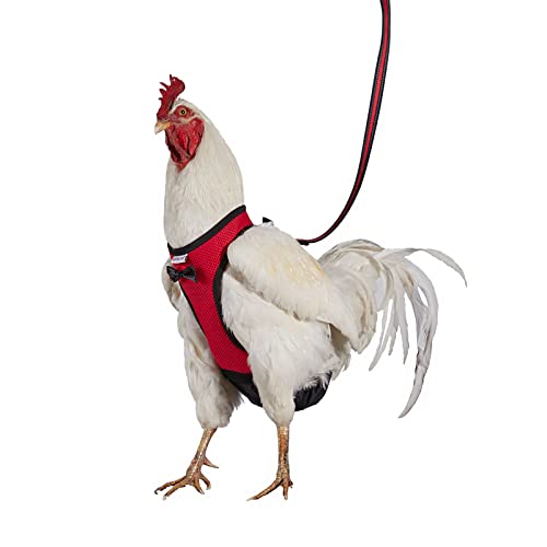 Yesito Hühnergeschirr, Hennen-Größe mit 1,8 m passender Leine, bequem, atmungsaktiv und waschbar, Haustier-Set für Küken, Gänse, Enten und mehr – Erleichtert Hühnertraining & Gehen (Rot, Medium) von Yesito