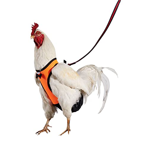 Yesito Hühnergeschirr, Hennen-Größe mit 1,8 m passender Leine, bequem, atmungsaktiv und waschbar, Haustier-Set – für Küken, Gänse, Enten und mehr – erleichtert Hühnertraining und Gehen (Orange, kleine von Yesito