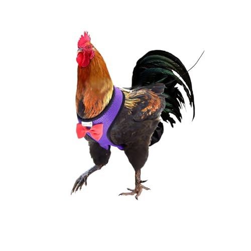 Yesito Hühnergeschirr, Hennengröße mit 180 cm langer passender Leine, verstellbar, belastbar, bequem, atmungsaktiv, Größe S, geeignet für Huhn mit einem Gewicht von ca. 1 kg, rot von Yesito