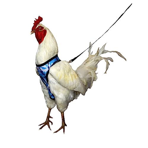Yesito Premium-Hühner-Geschirr, verstellbar, atmungsaktiv und langlebig, mit passender 1,6 m langer Leine für glückliche Hühner, Größe S, Camouflage-Blau von Yesito