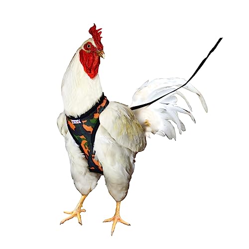 Yesito Verstellbares Hühner-Geschirr mit Camouflage-Design und bequemem, atmungsaktivem Stoff, inklusive widerstandsfähiger, 1,62 m passender Leine für sichere Ausflüge, Größe S, Camouflagegrün von Yesito