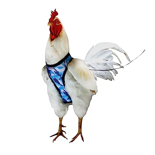 Yesito Verstellbares Hühner-Geschirr mit Camouflage-Design und bequemem, atmungsaktivem Stoff, inklusive widerstandsfähiger, 1,62 m passender Leine für sicheren Ausflug, Größe L, Camouflage-Blau von Yesito