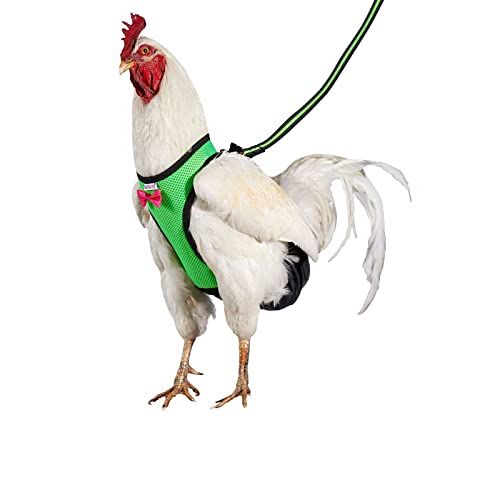 Yesito Hühnergeschirr Henne Größe mit 1,8 m Passende Leine Waschbar Haustier Set - Für Küken, Gänse, Enten & More - Erleichtert das Hühnertraining & Gehen (Grün, Medium) von Yesito