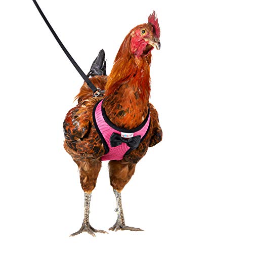 Yesito Hühnergeschirr Henne Größe mit 1,8 m passender Leine – verstellbar, widerstandsfähig, bequem, atmungsaktiv, klein, geeignet für Hühner mit einem Gewicht von ca. 1 kg, Rosa von Yesito