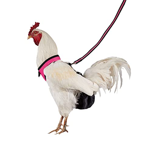 Yesito Hühnergeschirr Henne Größe mit 1,8 m passender Leine - waschbares Haustier-Set - für Küken, Gänse, Enten & mehr - Erleichtert das Hühnertraining & Gehen (Rose Pink Medium Size) von Yesito