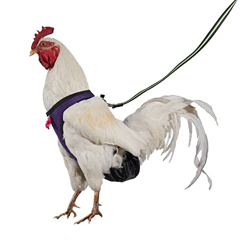 Yesito Hühnergeschirr mit passender Leine, 1,8 m, bequem, atmungsaktiv und waschbar, für Küken, Gänse, Enten und mehr, erleichtert das Hühnertraining und Spazierengehen, Lila, Größe M von Yesito