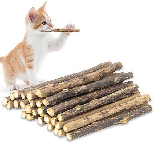 Yeteng Silvervine Sticks für Katzen, natürliche Katzenminze, Kauspielzeug für Kätzchen, Zahnreinigung, 24 Stück von Yeteng