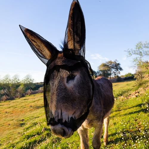Yeyeplum Mini Esel Fliegenmaske mit Ohrenschutz Atmungsaktive Mule Fliegenmaske mit langen Ohren Schutz vor Insekten und Ungeziefer Weiches Netzgewebe mit verstellbarem Verschluss von Yeyeplum