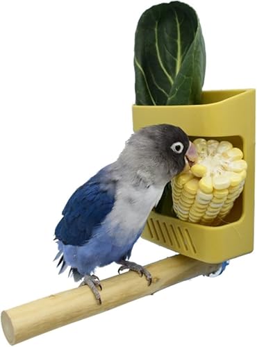 Yezhengui Vogelfutterstation für Papageien mit Holzständer, Sitzstange, Wasserbecher, Käfig, Obst, Gemüsehalter, Gemüseregal, Haustierfutter, Hängekörbe, Papageien, Obst, Hängebehälter, Yezhengui Vogelfutterstation für Papageien mit Holzständer, Sitzstange, Wasserbecher, Käfig, Obst, Gemüsehalter, Gemüseregal, Haustierfutter, Hängekörbe, Papageien, Obst, Hängebehälter, von Yezhengui