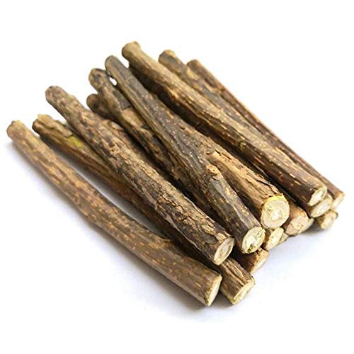 Yheonver 20 StüCk NatüRliche Silberrebe Sticks für Katzen Minzen Sticks Matatabi Kauen Sticks ZäHne Molar Kauen Spielzeuge für die Reinigung Von Katzen ZäHnen Yheonver 20 StüCk NatüRliche Silberrebe Sticks für Katzen Minzen Sticks Matatabi Kauen Sticks ZäHne Molar Kauen Spielzeuge für die Reinigung Von Katzen ZäHnen von Yheonver
