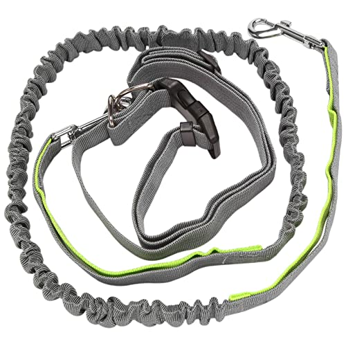 Yheonver FreihäNdige Hunde Leine, Einziehbare Hunde Leine, Elastischer Bungee Hunde GüRtel, Jogging Leine mit HüFt Gurt GrüN Yheonver FreihäNdige Hunde Leine, Einziehbare Hunde Leine, Elastischer Bungee Hunde GüRtel, Jogging Leine mit HüFt Gurt GrüN von Yheonver