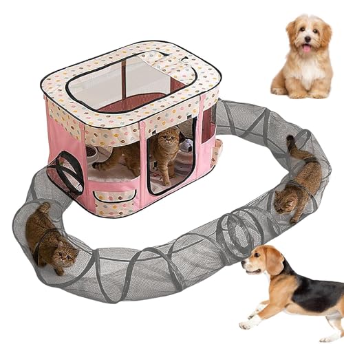 Faltbares Katzenzelt für den Außenbereich, 90 x 70 x 60 cm, einfacher Aufbau, geräumiger Kätzchen-Spielplatz, Oxford-Stoff, Kleintier-Spielplatz-Gehege für Garten, Rasen, Hof, Balkon Faltbares Katzenzelt für den Außenbereich, 90 x 70 x 60 cm, einfacher Aufbau, geräumiger Kätzchen-Spielplatz, Oxford-Stoff, Kleintier-Spielplatz-Gehege für Garten, Rasen, Hof, Balkon von Yhsioaklo