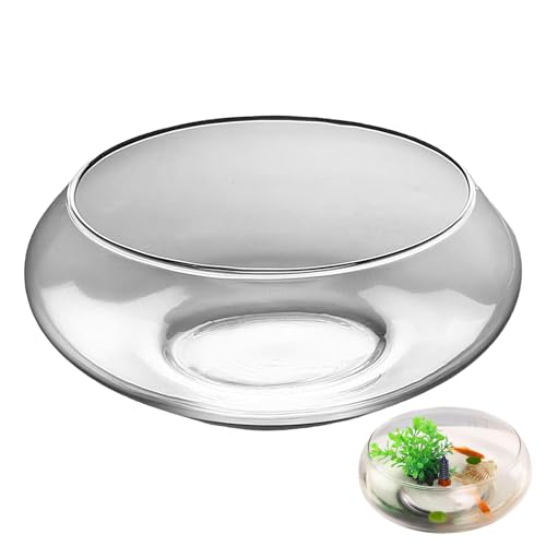 Fischschüsselglas, großer Flacher rund, Hydrokroponik -Blumentopf | Innenfischtank, Bonsai -Behälter, Sukkulenten Pflanzer | Hochzeitsdekoration, Hausgarten, Aquarium für Tischplattendisplay Fischschüsselglas, großer Flacher rund, Hydrokroponik -Blumentopf | Innenfischtank, Bonsai -Behälter, Sukkulenten Pflanzer | Hochzeitsdekoration, Hausgarten, Aquarium für Tischplattendisplay von Yhsioaklo