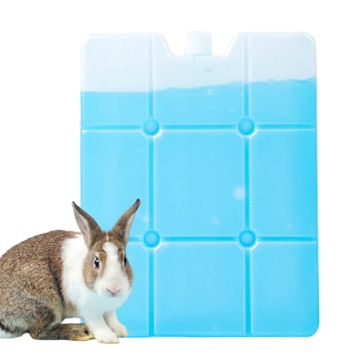Kühlakku für Kleintiere, langlebig, wiederverwendbar, Kühlkissen für Sommerhitze | kompakte Kühlhilfe für Kaninchen, Igel, Kätzchen, Hamster, Frettchen, Käfig, Reisen Kühlakku für Kleintiere, langlebig, wiederverwendbar, Kühlkissen für Sommerhitze | kompakte Kühlhilfe für Kaninchen, Igel, Kätzchen, Hamster, Frettchen, Käfig, Reisen von Yhsioaklo
