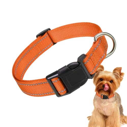 Reflektierender Hundehalsband | Einstellbare Sicherheitskatze Kragen | Bequeme atmungsaktive Nylon -Haustierkragen für mittelgroße Katze und Hund Reflektierender Hundehalsband | Einstellbare Sicherheitskatze Kragen | Bequeme atmungsaktive Nylon -Haustierkragen für mittelgroße Katze und Hund von Yhsioaklo
