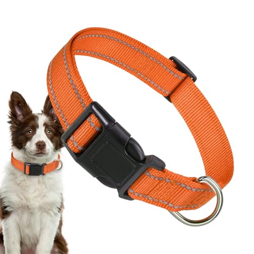 Reflektierender Hundehalsband | Einstellbare Sicherheitskatze Kragen | Bequeme atmungsaktive Nylon -Haustierkragen für mittelgroße Katze und Hund von Yhsioaklo